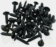 Black Powdercoated Self Tapping Screws