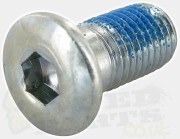M10 x 1.25 - 15mm Brake Disc Bolt M10 x 1.25 - 15mm Brake Disc Bolt