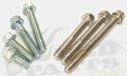 M6 Flanged Bolt M6 Flanged Bolt