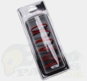 Piaggio / Peugeot Torque Spring