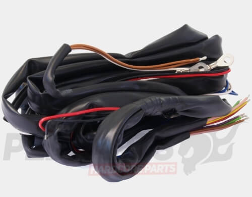Wiring Loom- Vespa 125 VNB With Battery